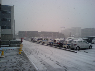 京都の雪