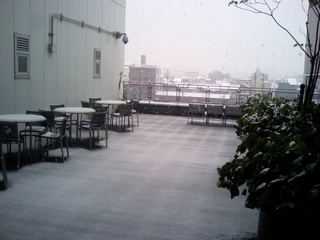 京都の雪